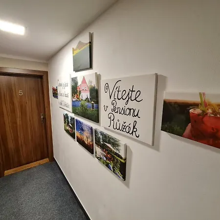 Ruzak Růžová